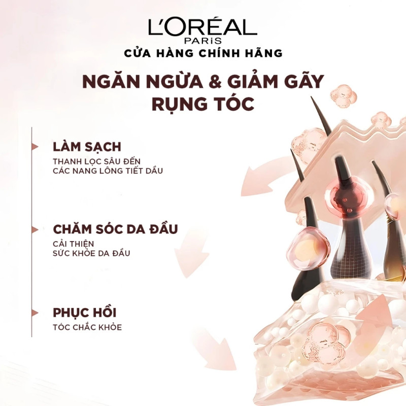 Review Bộ đôi Dầu Gội Xả L'Oreal Paris Elseve Full Resist 440ml – Giải Pháp Cho Tóc Gãy Rụng - Hinh 4