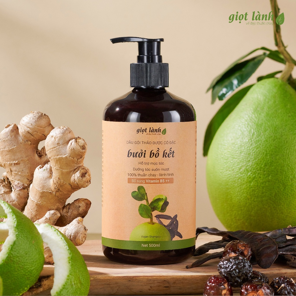 Dầu Gội Bồ Kết - Bưởi Giọt Lành 500ml: Review Chi Tiết Sản Phẩm Kích Mọc Tóc Thảo Dược - Hinh 7